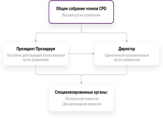 Структура Ассоциации